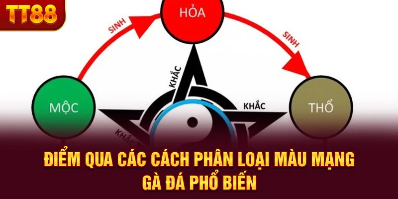 Màu Mạng Gà Đá