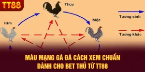 Màu Mạng Gà Đá